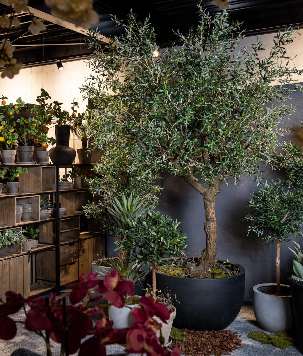 Fotolux_Plants_Living_17-04-2024_LR-19